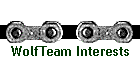 WolfTeam Interests